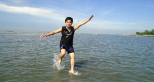 dinhthao